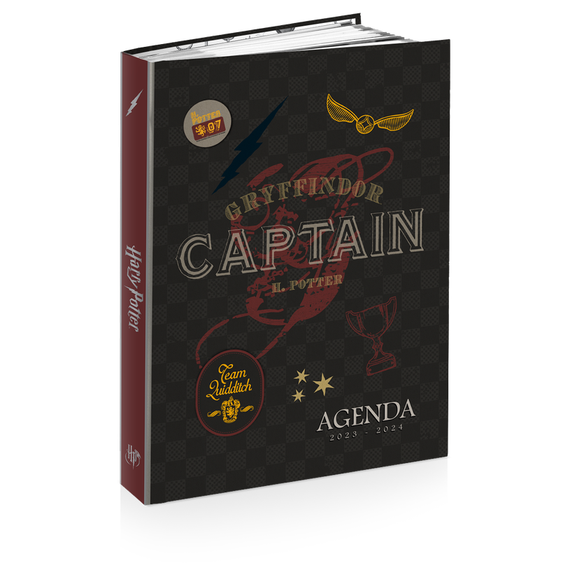 3661507515793-Agenda Premium Harry Potter - 1 jour par page - 12 x 17 cm - différents modèles disponib-P_405129247_2-1