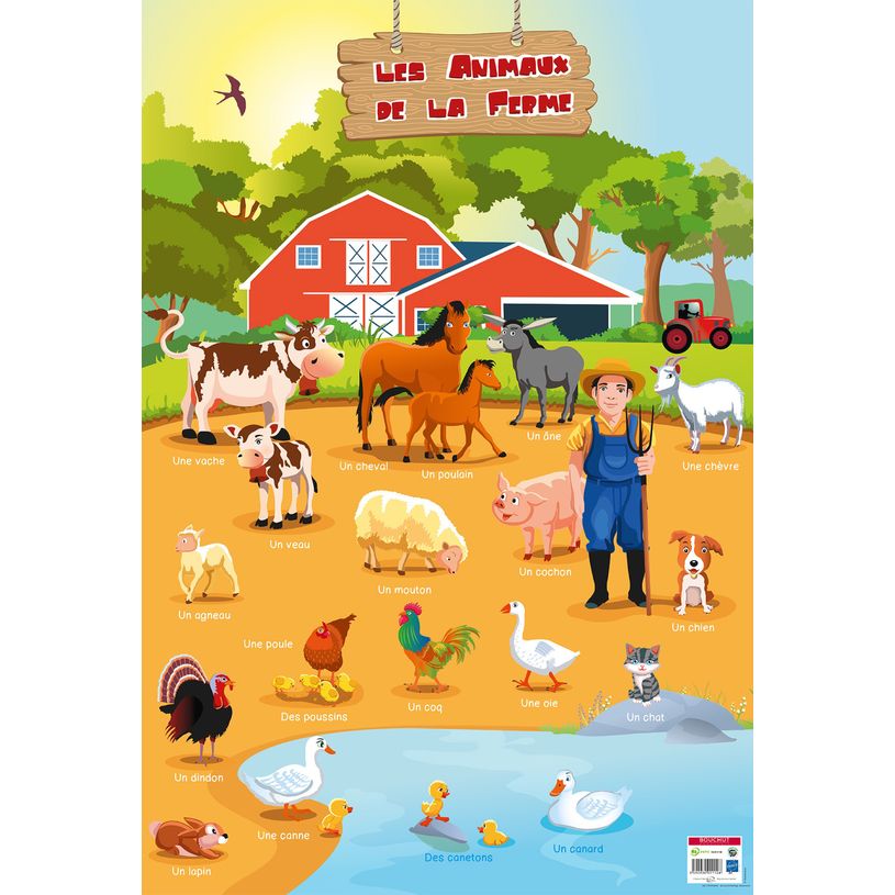 3592930011128-Poster pédagogique BOUCHUT "Animaux de la Ferme" PEFC 70 % 52 x 76 cm-P_405129440_1-0