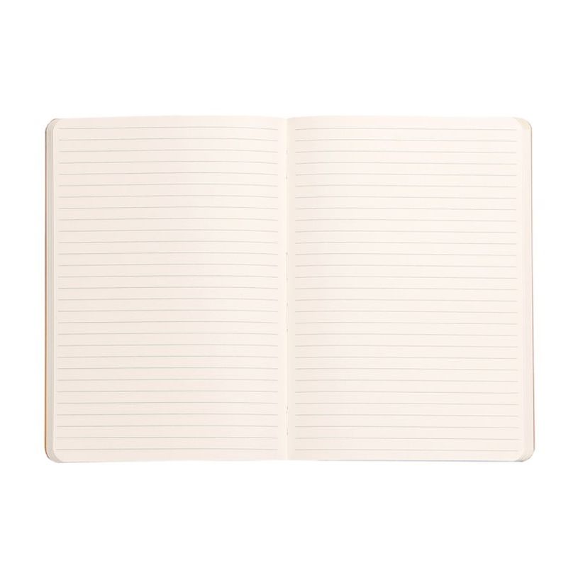 3037921173855-RHODIA Rhodiarama - Carnet souple A5 - 160 pages - ligné - titane-P_405129919_2-1