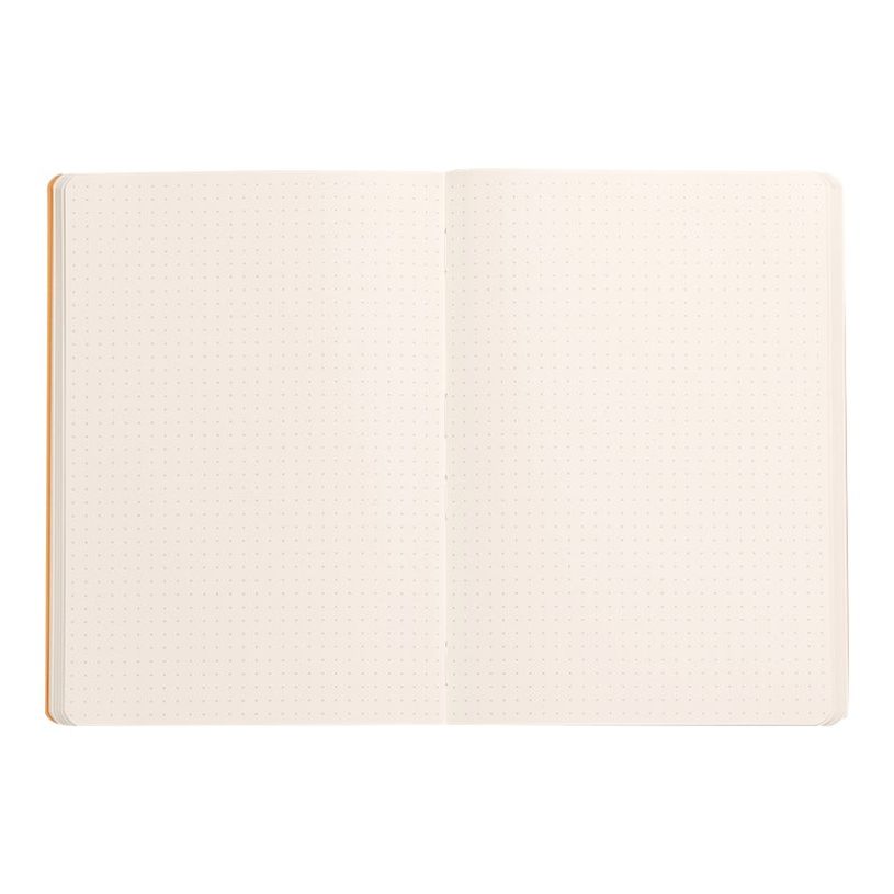 3037921174401-RHODIA Rhodiarama - Carnet souple A5 - 160 pages - pointillés - sauge-P_405129923_1-1