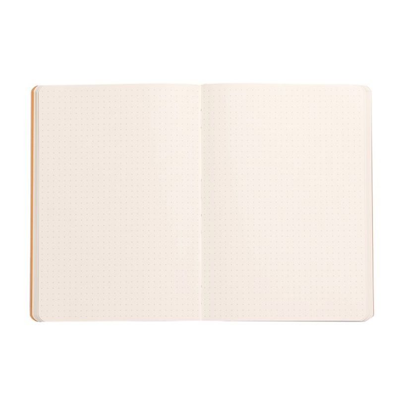 3037921174791-RHODIA Rhodiarama - Carnet souple A5 - 160 pages - pointillés - titane-P_405129932_2-2