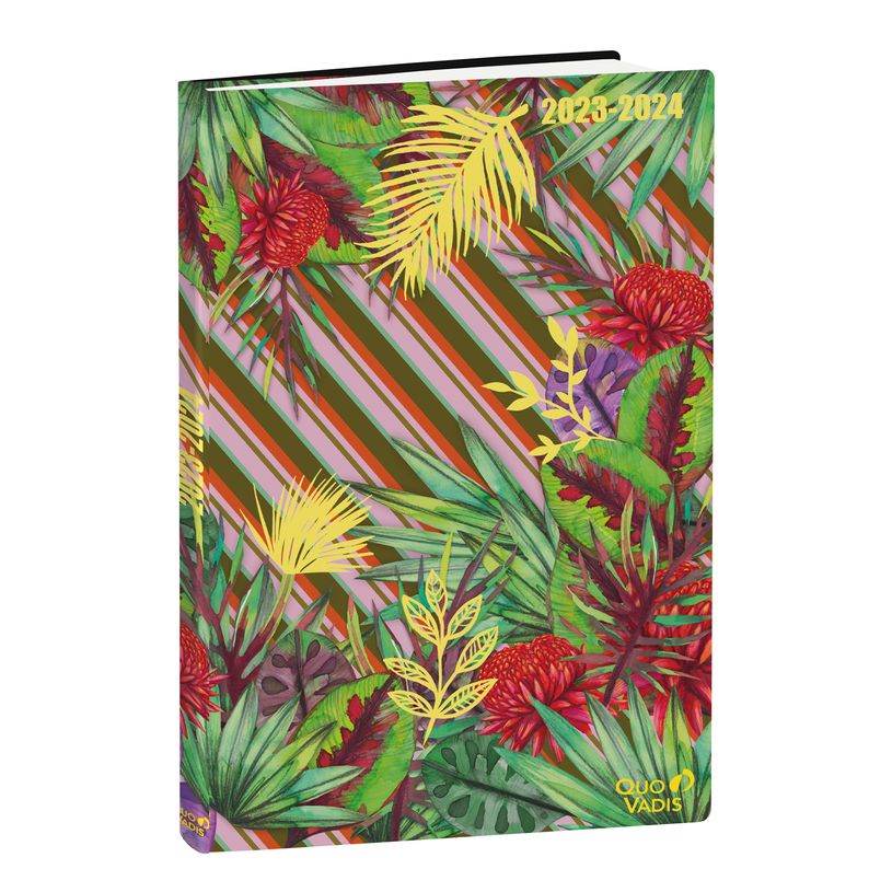 3371010499526-Agenda Jungle Spirit - 1 semaine sur 2 pages - septembre à décembre - 16 x 24 cm - rayur-P_405130354_1-0