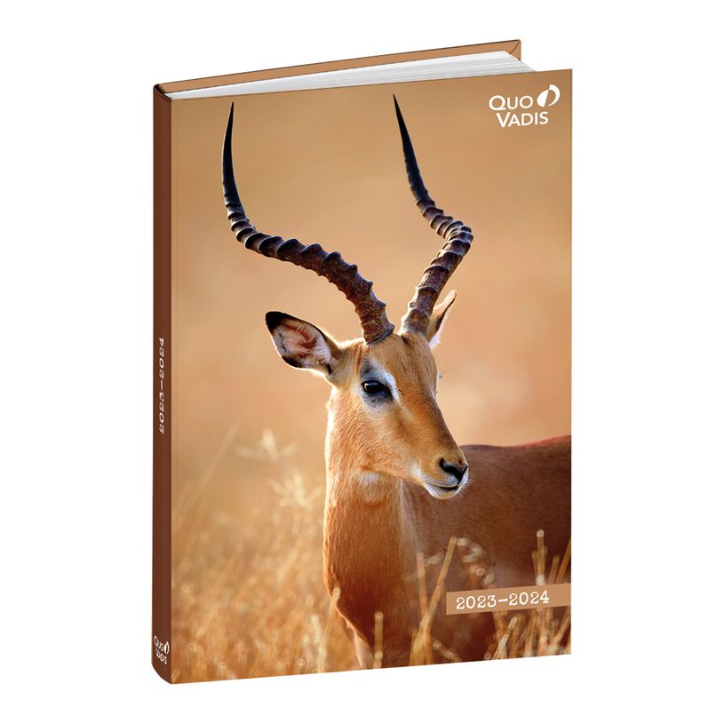 3371010496167-Agenda Mes Potes à Pattes avec planche de coloriage - 1 jour par page - 12 x 17 cm - impa-P_405130377_1-0