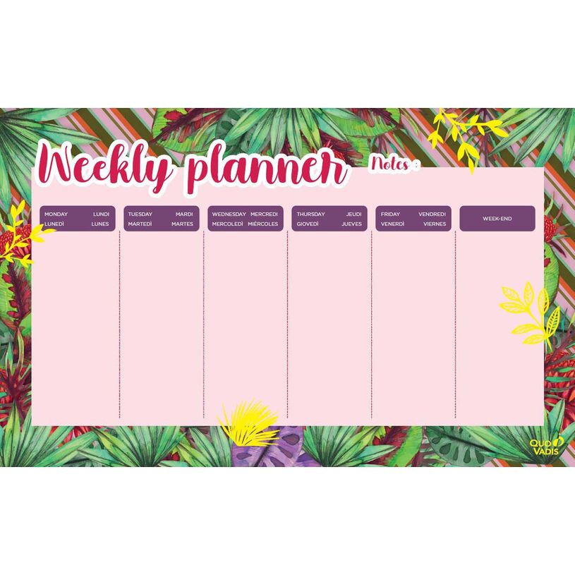 3371010501441-Quo Vadis - Sous-main perpétuel à feuillets - Multilingue - Fantaisie - Perpétuel - 16,5x26,5 cm - Papier Clairefontaine -P_405130437_2-1