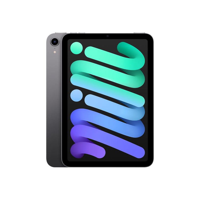0194252528792-Apple iPad mini (6ème gen) - tablette 8,3" - 256 Go - gris sidéral-P_405131565_2-1