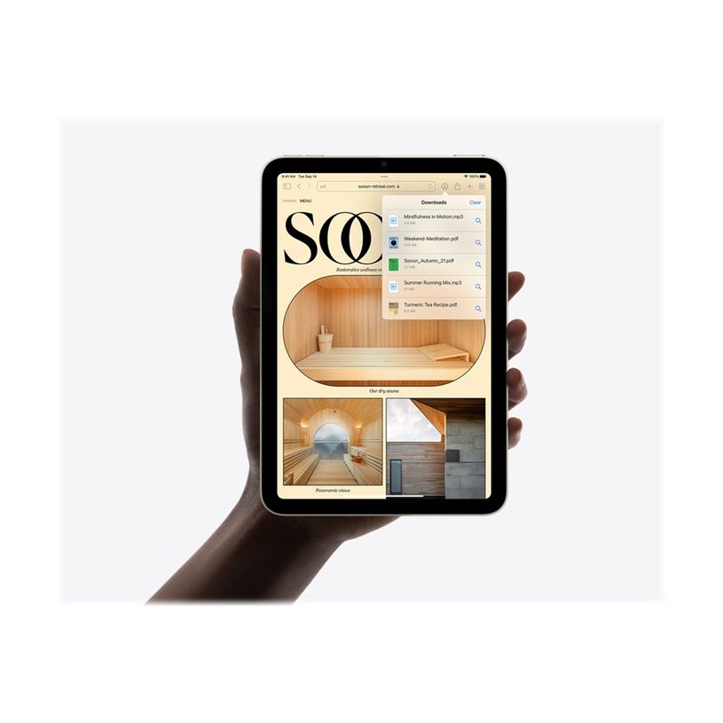 0194252529331-Apple iPad mini (6ème gen) - tablette 8,3" - 256 Go - lumiere stellaire-P_405131566_1-3