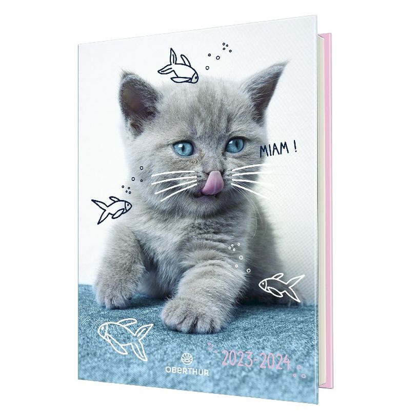 3664447143842-Agenda Chaton - 1 jour par page - 12,5 x 17,5 cm - drôle - Oberthur-P_405131777_1-0