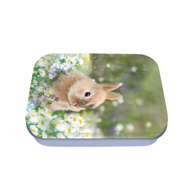 3664447147017-Boîte à bons points Animaux mignons Lapin - Oberthur-P_405131796_1-0