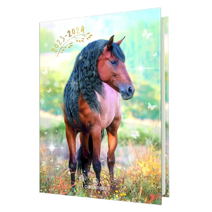 3664447143910-Agenda Cheval - 1 jour par page - 12,5 x 17,5 cm - brun - Oberthur-P_405131809_1-0