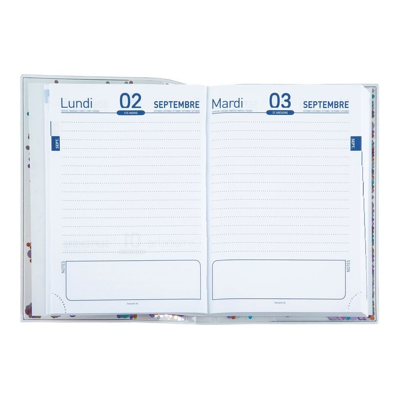 3664447143965-Agenda Confettis - 1 jour par page - 13 x 18 cm - Oberthur-P_405131822_1-1