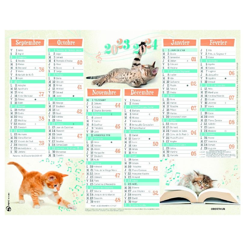 3664447138527-Calendrier Chatons - 7 mois par face - 21 x 26,5 cm - Oberthur-P_405132155_1-0