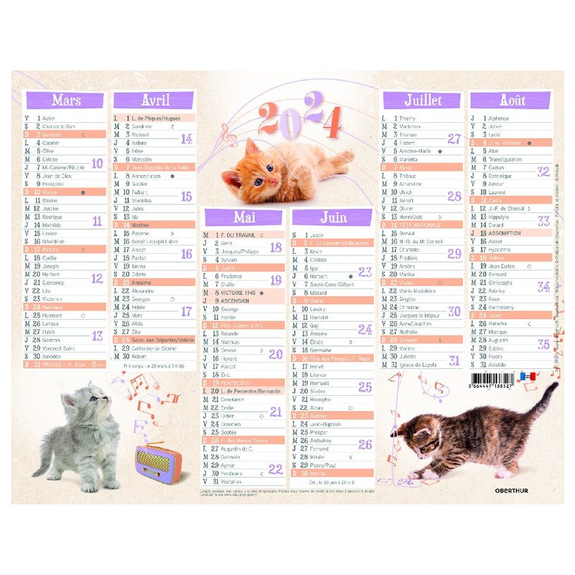 3664447138527-Calendrier Chatons - 7 mois par face - 21 x 26,5 cm - Oberthur-P_405132155_2-1