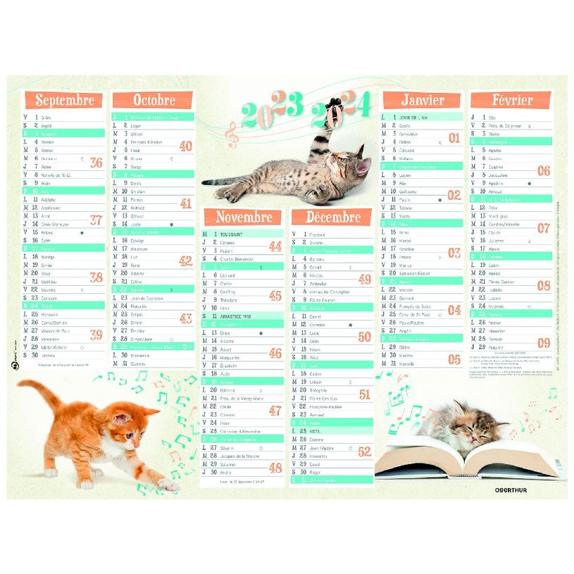 3664447138534-Calendrier Chatons - 7 mois par face - 32 x 42 cm - Oberthur-P_405132156_1-0