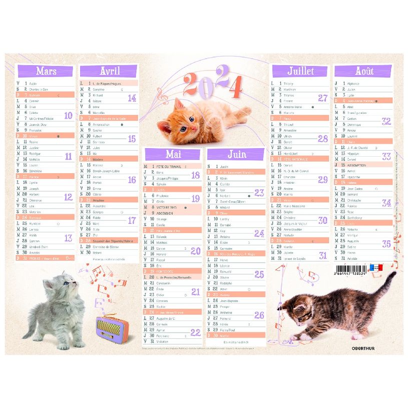 3664447138534-Calendrier Chatons - 7 mois par face - 32 x 42 cm - Oberthur-P_405132156_2-1