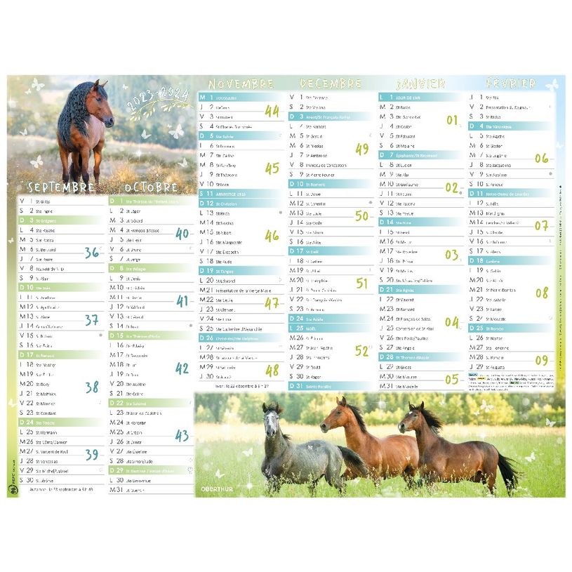 3664447138572-Calendrier Cheval - 7 mois par face - 40,5 x 55 cm - Oberthur-P_405132160_1-0