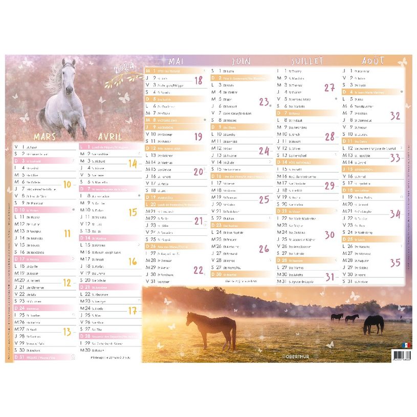 3664447138572-Calendrier Cheval - 7 mois par face - 40,5 x 55 cm - Oberthur-P_405132160_2-1