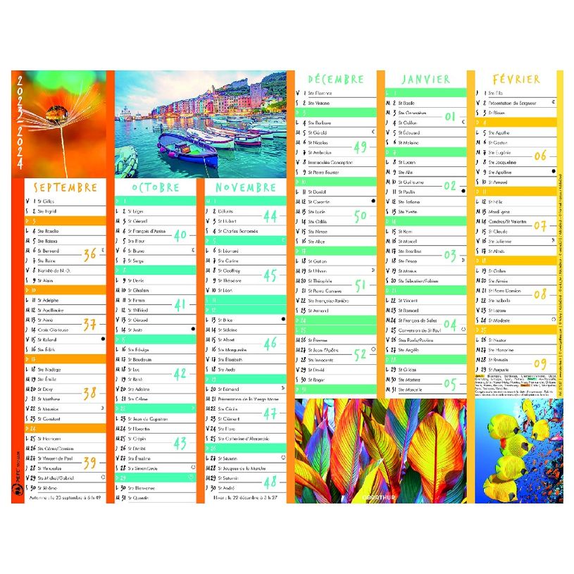 3664447138619-Calendrier Color Story - 7 mois par face - 21 x 26,5 cm - Oberthur-P_405132164_1-0