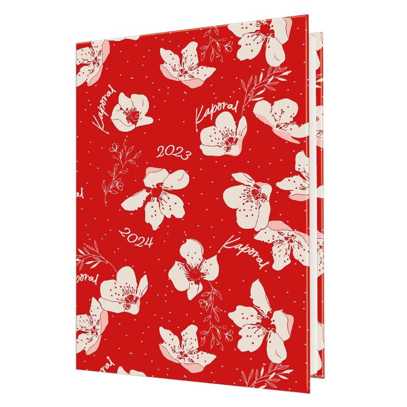 3664447146591-Agenda Kaporal Girl - 1 jour par page - 12,5 x 17,5 cm - Oberthur-P_405132189_2-0