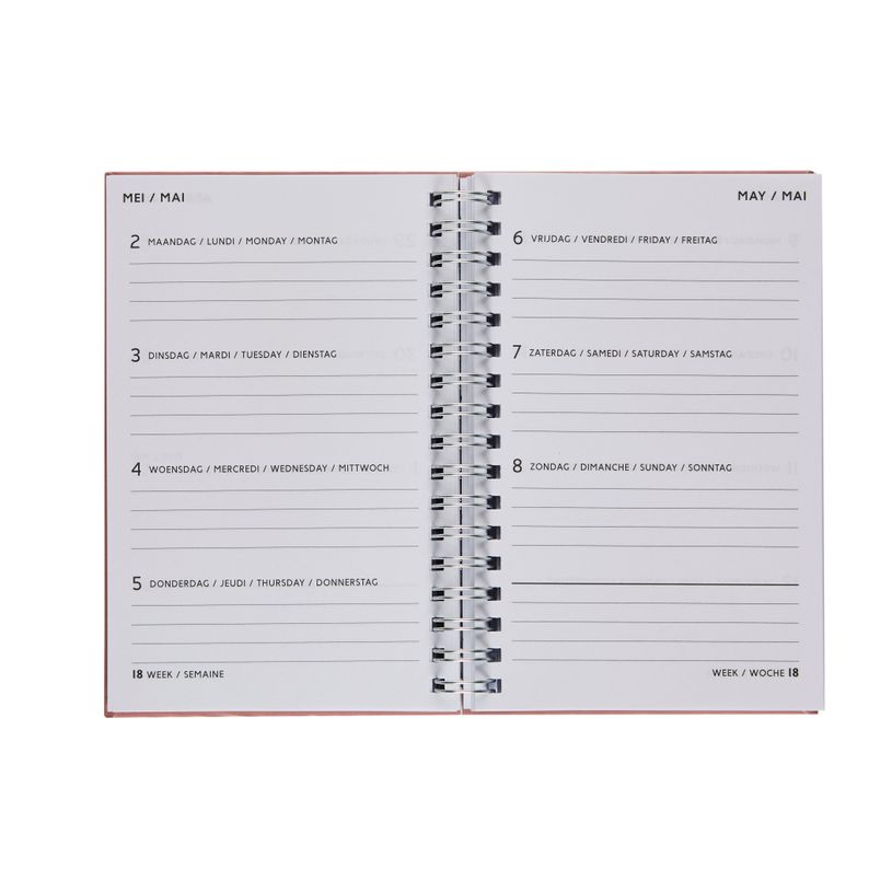 5412303376907-Agenda de poche à spirale Doodle Dash - 1 semaine sur 2 pages - 10 x 15 cm - Brepols--1