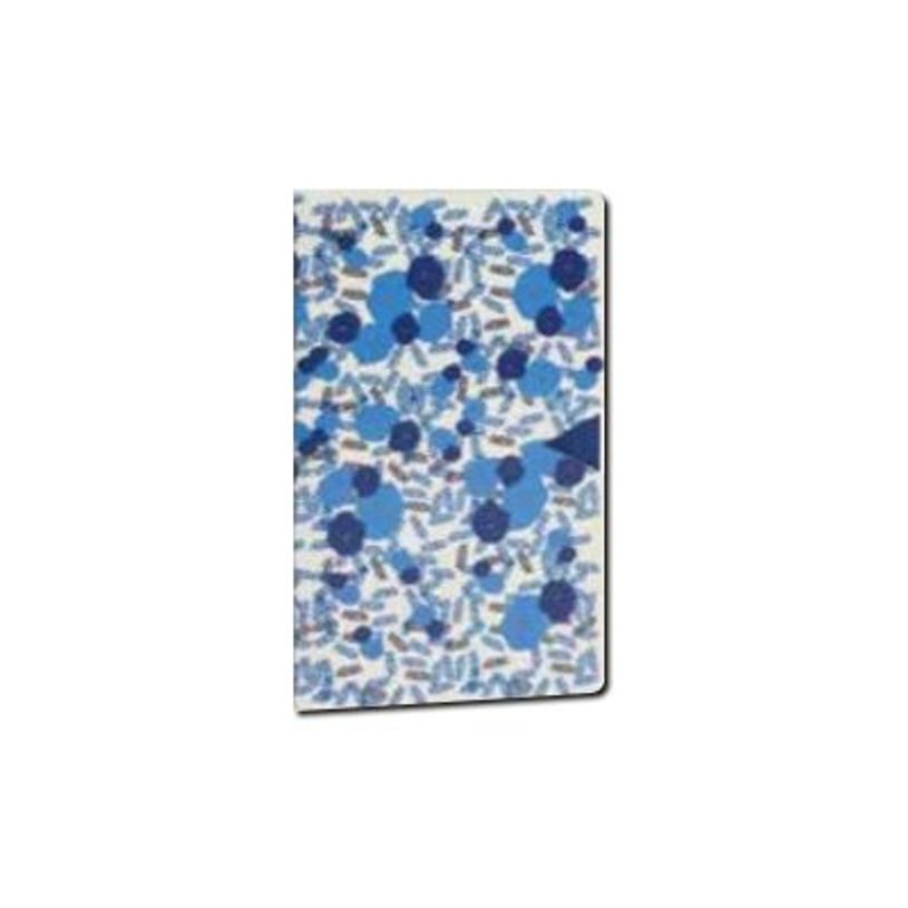 3173740249170-Cahier coutures SINGER SMILE "BOSQUET" 2 motifs assortis-P_405133323_2-1