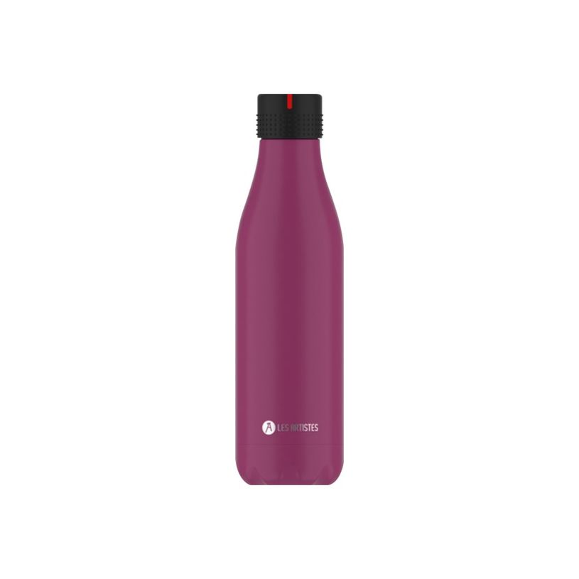 3614300019708-Les Artistes Paris - Gourde Bouteille isotherme 500 ml - violet - acier inoxydable-P_405133518_2-1
