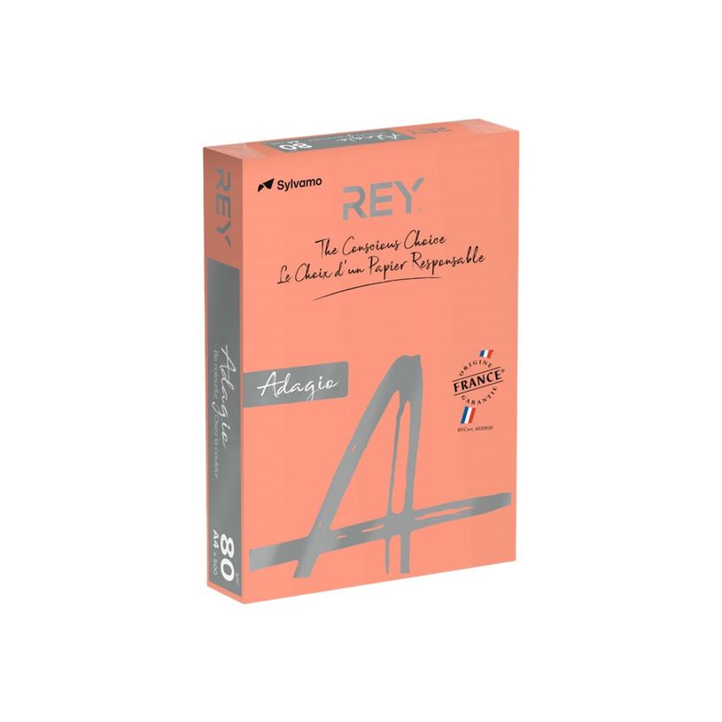 3368220102780-Rey Adagio - Papier couleur - A4 (210 x 297 mm) - 80 g/m² - Ramette de 500 feuilles - nec-P_405137778_1-0