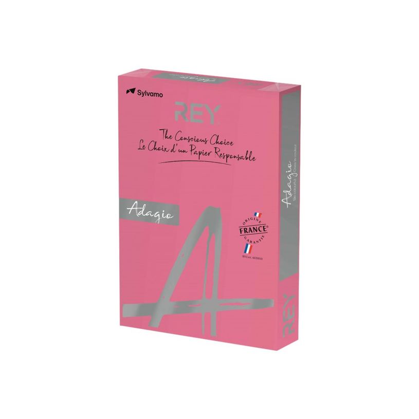 3368220137287-Rey Adagio - Papier couleur - A3 (297 x 420 mm) - 80 g/m² - Ramette de 500 feuilles - gre-P_405137784_1-0