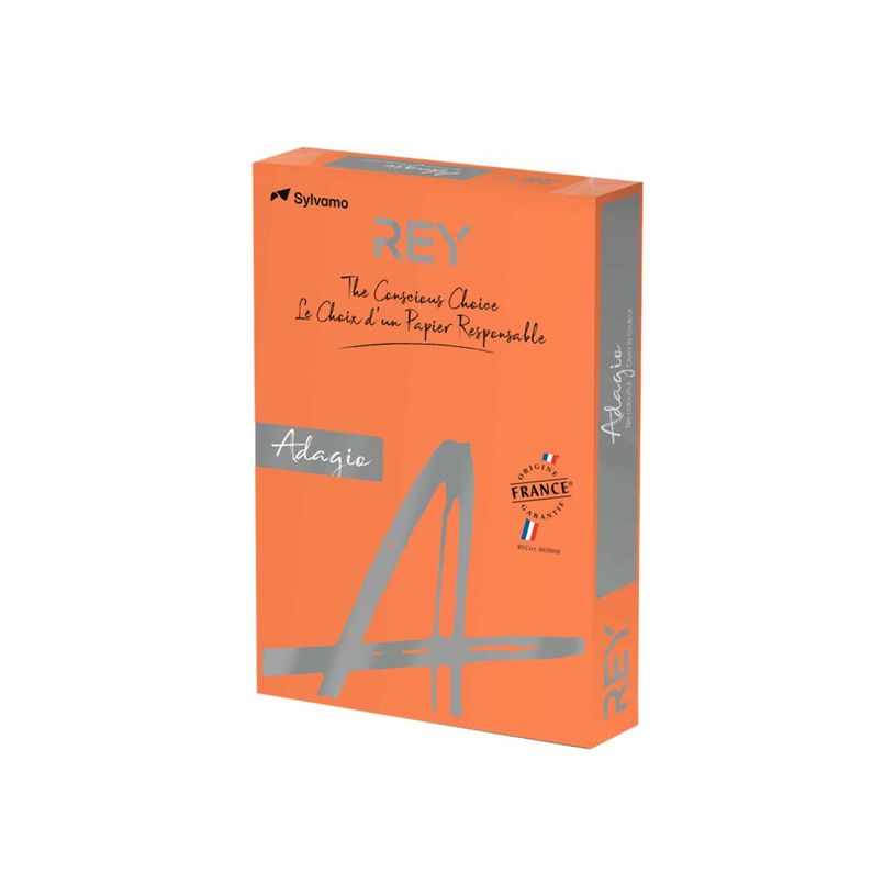 3368220089555-Rey Adagio - Papier couleur - A3 (297 x 420 mm) - 80 g/m² - Ramette de 500 feuilles - ora-P_405137788_1-0