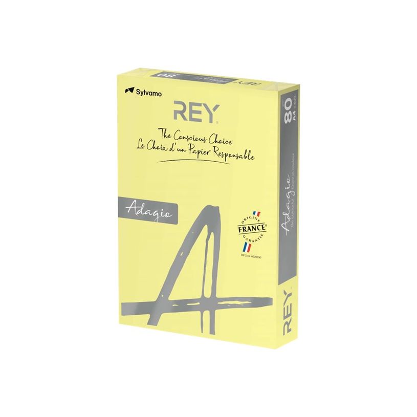 3141720157388-Rey Adagio - Papier couleur - A4 (210 x 297 mm) - 120 g/m² - Ramette de 250 feuilles - ca-P_405137795_1-0