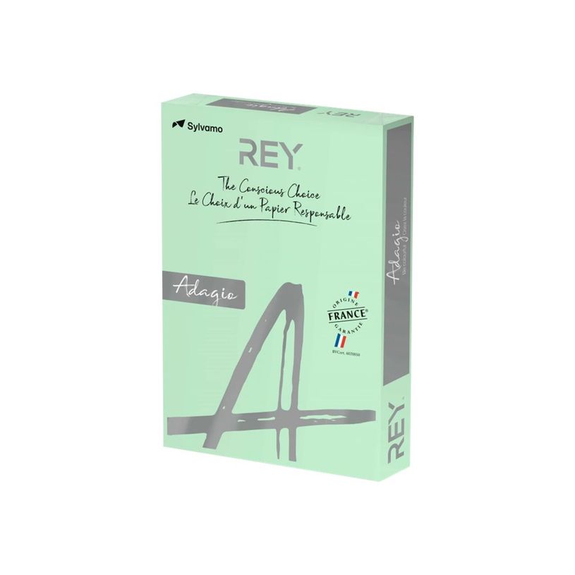 3141720157562-Rey Adagio - Papier couleur - A4 (210 x 297 mm) - 120 g/m² - Ramette de 250 feuilles - ve-P_405137797_1-0