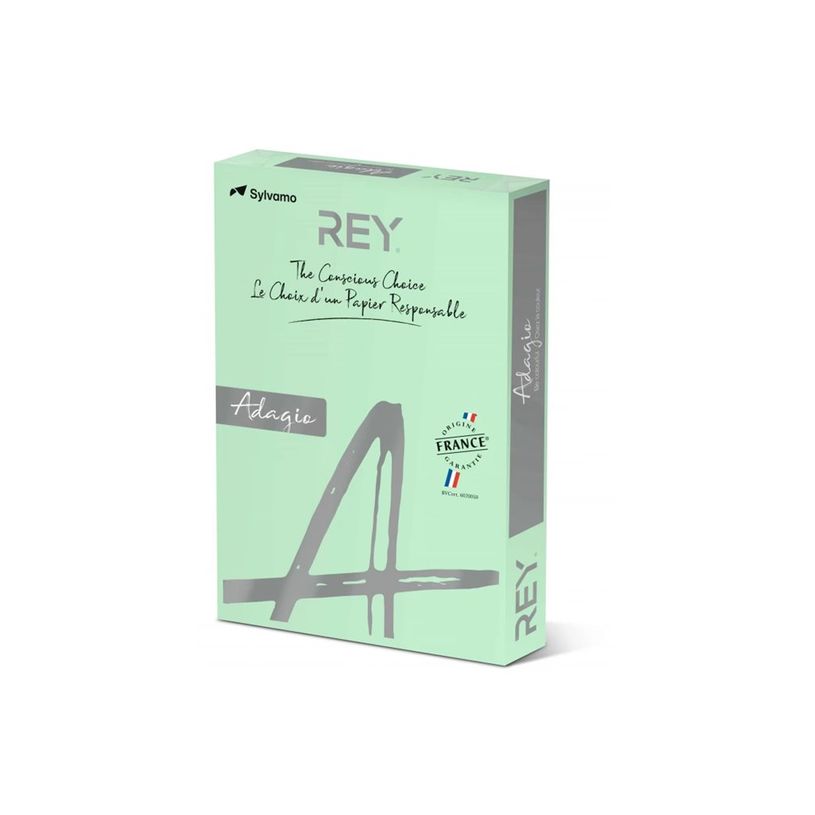 3141728711469-Rey Adagio - Papier couleur - A3 (297 x 420 mm) - 120 g/m² - Ramette de 250 feuilles - ve-P_405137800_2-1