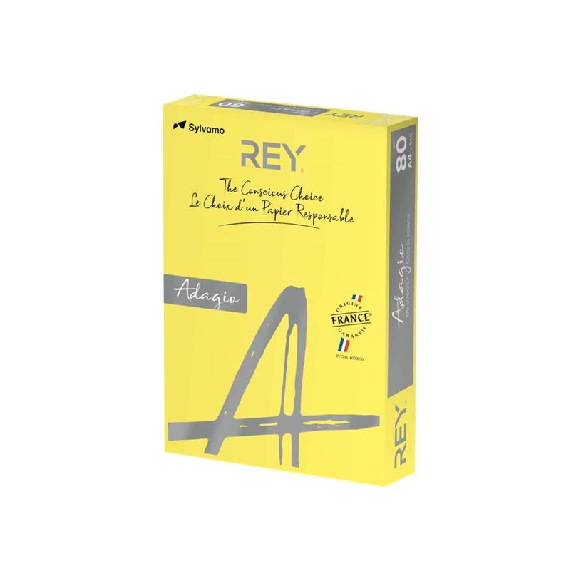 3141720157470-Rey Adagio - Papier couleur - A4 (210 x 297 mm) - 120 g/m² - Ramette de 250 feuilles - ja-P_405137803_1-0