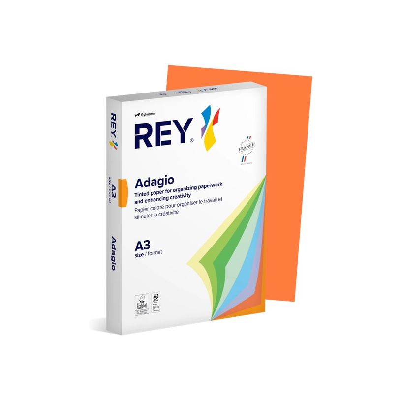 3141728711476-Rey Adagio - Papier couleur - A3 (297 x 420 mm) - 120 g/m² - Ramette de 250 feuilles - or-P_405137805_2-1