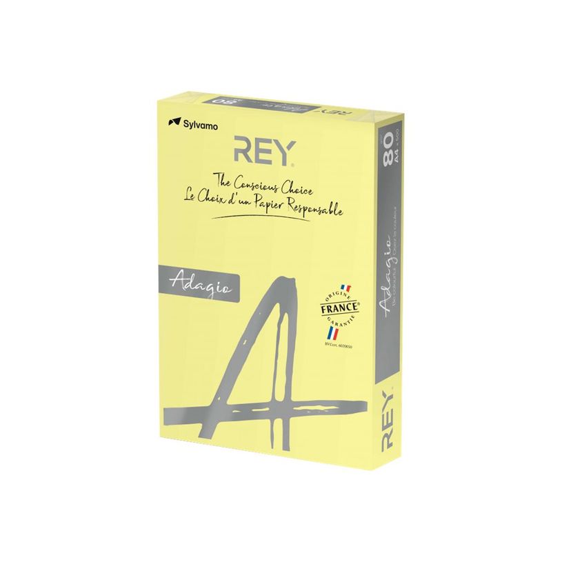 3368220089609-Rey Adagio - Papier couleur - A4 (210 x 297 mm) - 160 g/m² - Ramette de 250 feuilles - ca-P_405137807_1-0