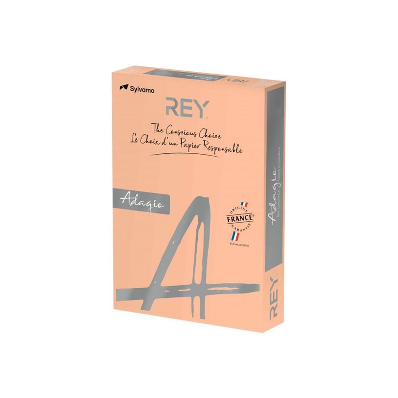 3368220107228-Rey Adagio - Papier couleur - A4 (210 x 297 mm) - 160 g/m² - Ramette de 250 feuilles - sa-P_405137811_1-0