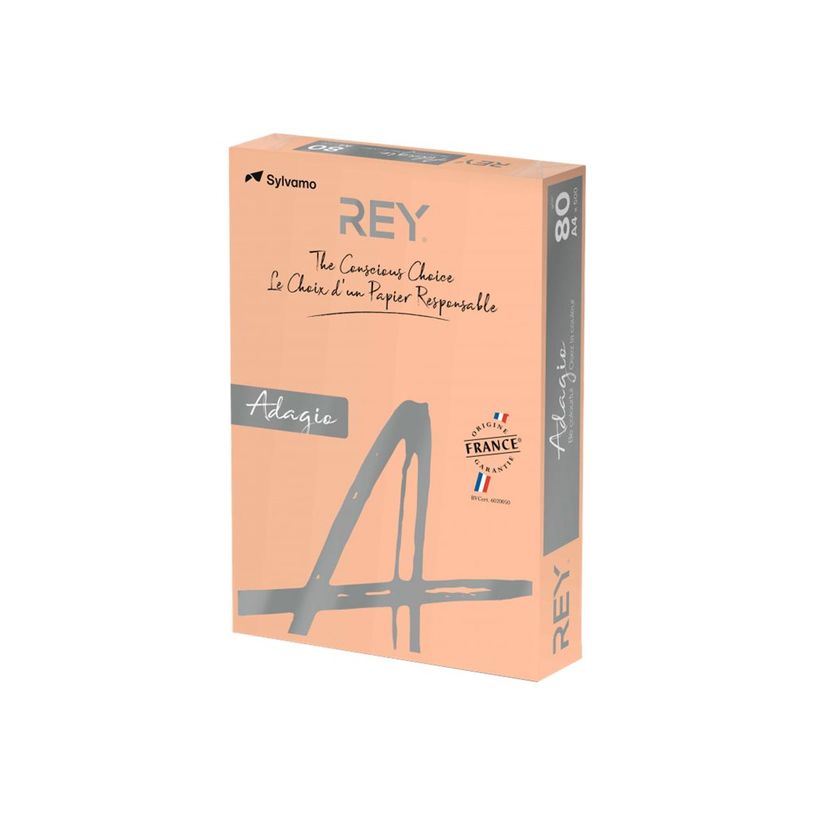 3141728711339-Rey Adagio - Papier couleur - A3 (297 x 420 mm) - 160 g/m² - Ramette de 250 feuilles - sa-P_405137815_1-0