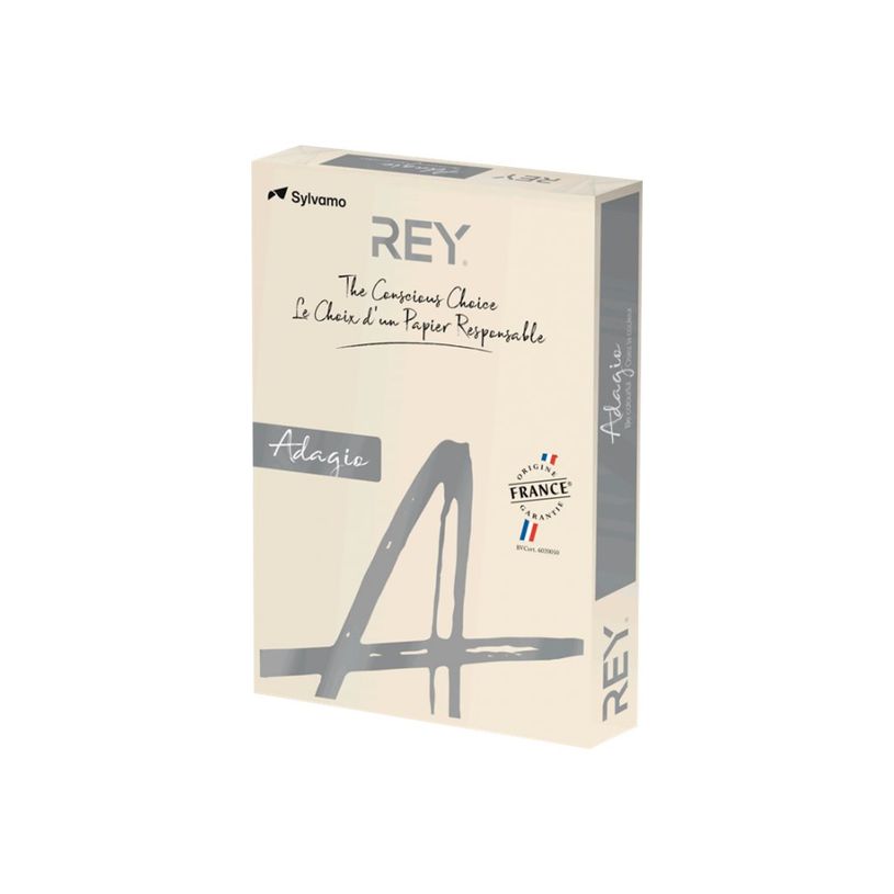 3141720158019-Rey Adagio - Papier couleur - A3 (297 x 420 mm) - 160 g/m² - Ramette de 250 feuilles - iv-P_405137818_1-0
