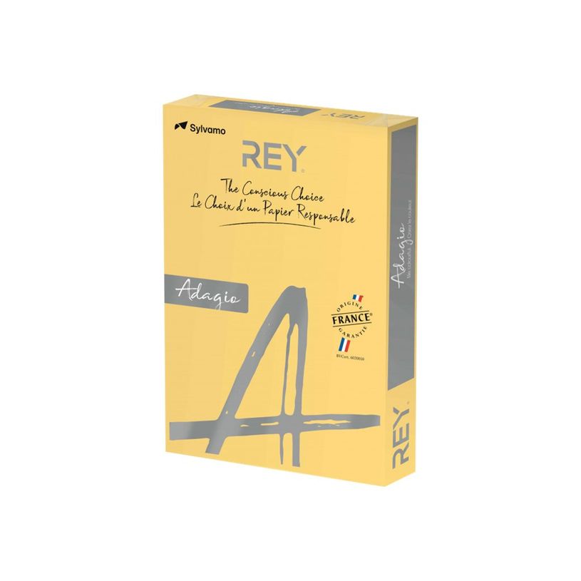 3141728711315-Rey Adagio - Papier couleur - A3 (297 x 420 mm) - 160 g/m² - Ramette de 250 feuilles - bo-P_405137825_1-0