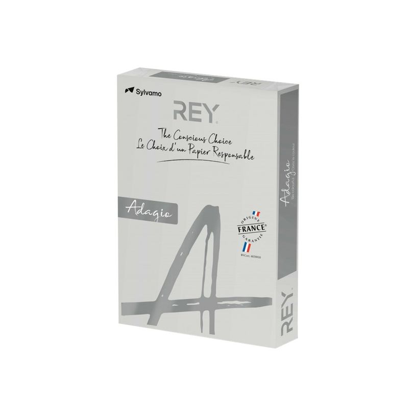 3141728711322-Rey Adagio - Papier couleur - A3 (297 x 420 mm) - 160 g/m² - Ramette de 250 feuilles - gr-P_405137826_1-0