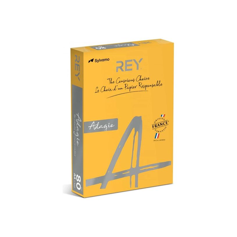 3368220089654-Rey Adagio - Papier couleur - A4 (210 x 297 mm) - 160 g/m² - Ramette de 250 feuilles - ab-P_405137830_2-1