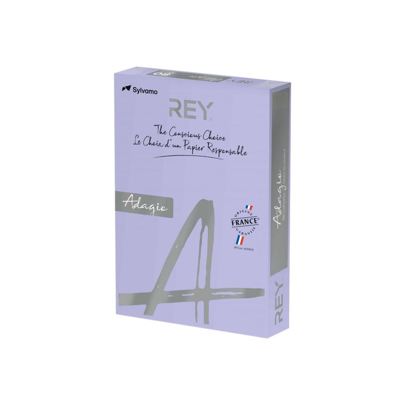 3141728710936-Rey Adagio - Papier couleur - A4 (210 x 297 mm) - 160 g/m² - Ramette de 250 feuilles - gl-P_405137833_1-0