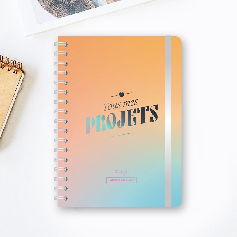 8445641031440-Agenda Mr Wonderful Tous mes projets - 1 semaine sur 2 pages - 15 x 22 cm - Viquel-P_405139851_1-0