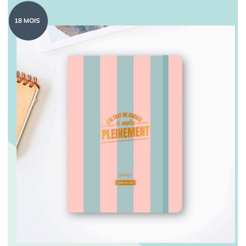 8445641031488-Agenda Mr Wonderful Tant de choses à vivre - 1 semaine sur 2 pages - 17 x 22 cm - Viquel-P_405139852_1-0