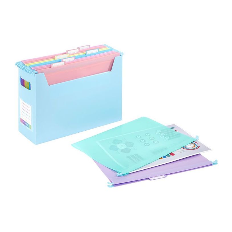 3135254181155-Viquel Rainbow Pastel - Boîte d'archivage EasyCase avec poignées de transport + 8 dossie-P_405141927_1-0