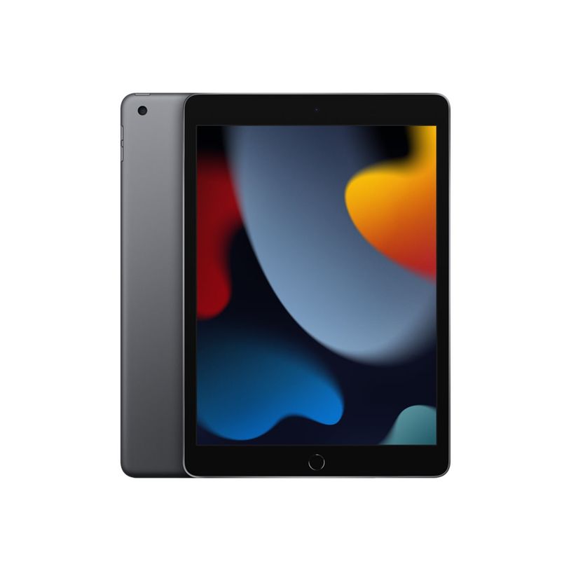 194252515631-Apple iPad 9e gen - tablette 10.2" - 64 Go - gris-P_405142760_2-1