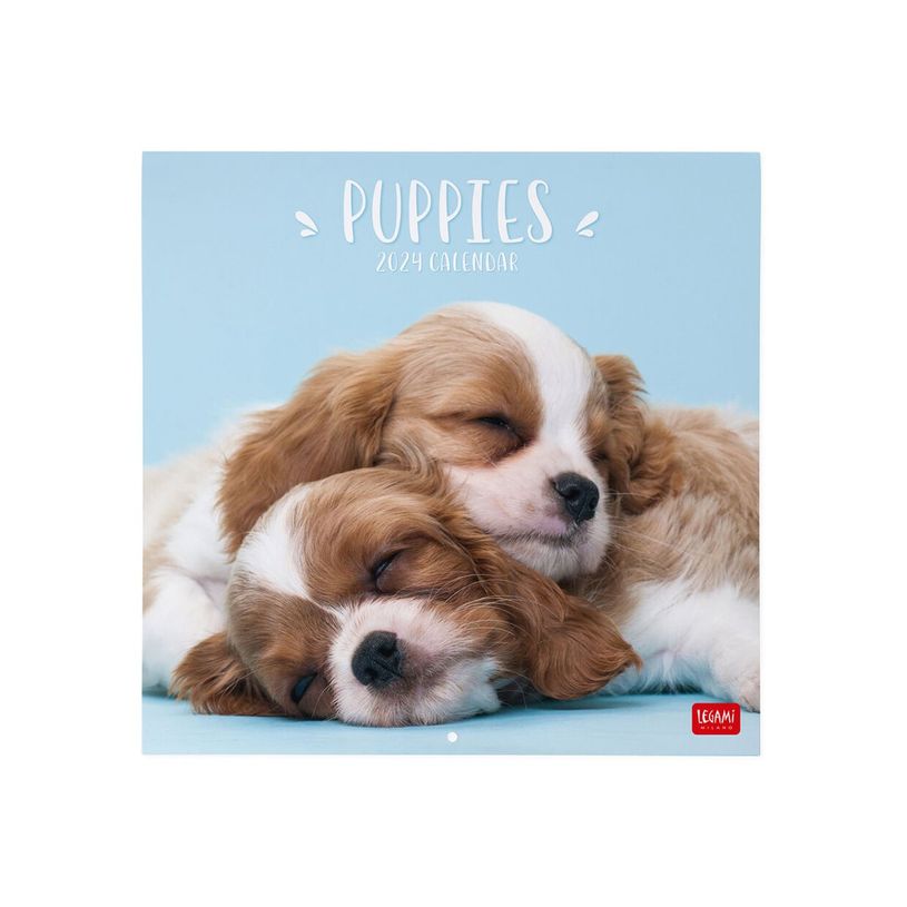 8051128758764-Legami - Calendrier mensuel - 30 x 29 cm - chiots-P_405143029_2-0