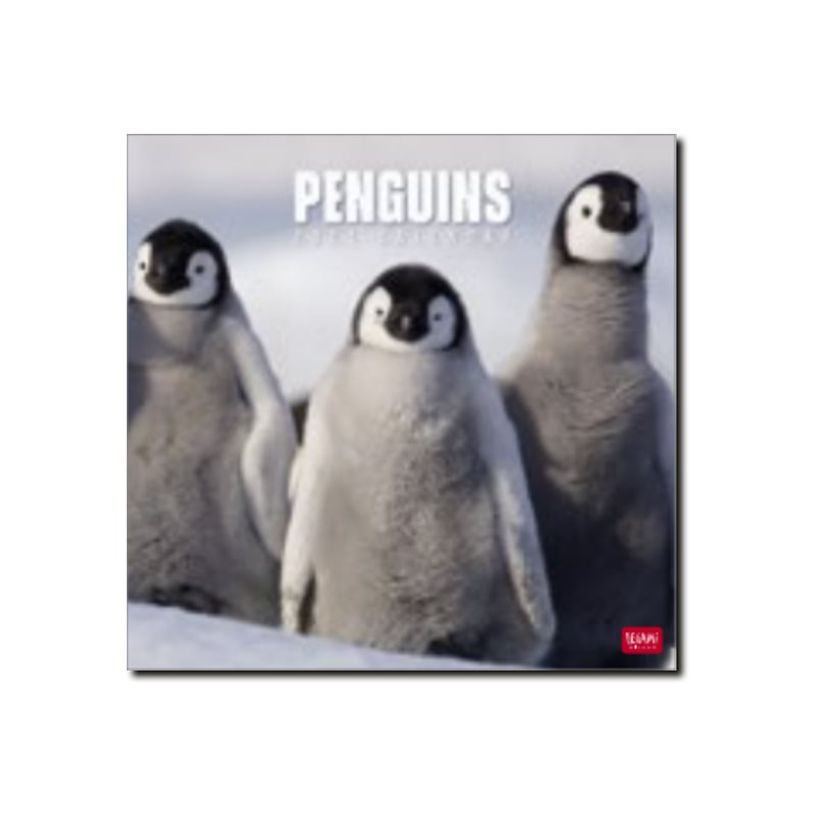 8051128758856-Legami Photo Collection - Calendrier 2024 - 30 x 29 cm - pingouins-P_405143038_1-0