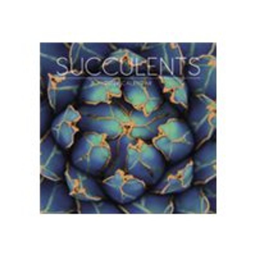 8051128758924-Legami - Calendrier mensuel 2024 - 30 x 29 cm - succulents-P_405143045_2-0