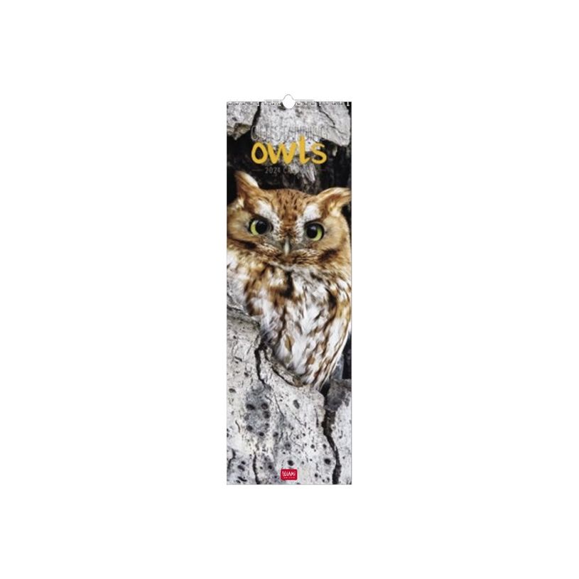 8051128759426-Calendrier mensuel 2024 - 16 x 49 cm - outstanding owls-P_405143095_1-0
