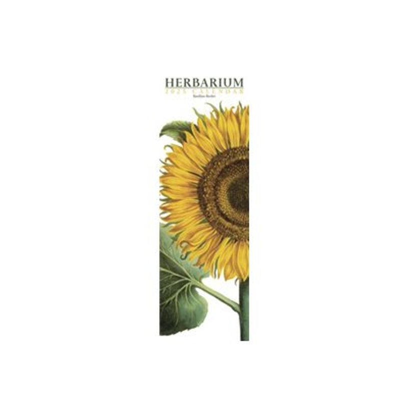 8051128759747-Legami - Calendrier mensuel 2024 - 16 x 49 cm - herbier-P_405143127_1-0